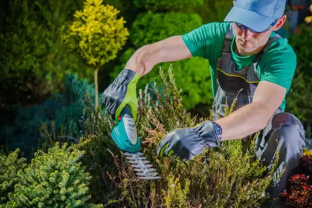 landscaping services Enon
